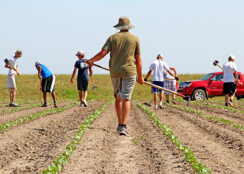 Weed Choppers Back on Farm to Fight Seedbank War AgWeb